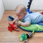 Sassy Stim Gym Play Mat