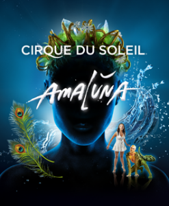 Cirque du Soleil Amaluna Boston
