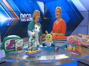 Keri Wilmot, ToyQueen, Leslie Gaydos, NECN, holiday toys, best toys 2015