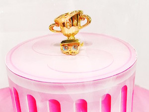 Winnie Award Rare Shopkin